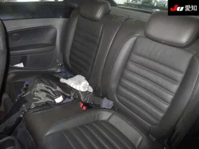 Volkswagen THE BEETLE