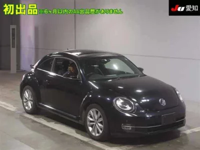 Volkswagen THE BEETLE