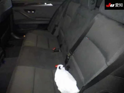 BMW 5-Series  с аукциона в Японии