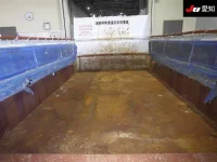 Isuzu TRUCK лот № 20074 оценка R  с аукциона в Японии 3