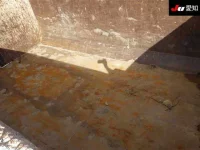 Hino RANGER лот № 8545 оценка R  с аукциона в Японии 7