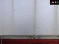 Hino RANGER лот № 8578 оценка R  с аукциона в Японии 8