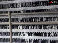 Hino PROFIA лот № 8508 оценка 3  с аукциона в Японии 10