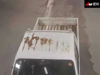 Suzuki CARRY TRUCK лот № 35303 оценка 3.5  с аукциона в Японии 8