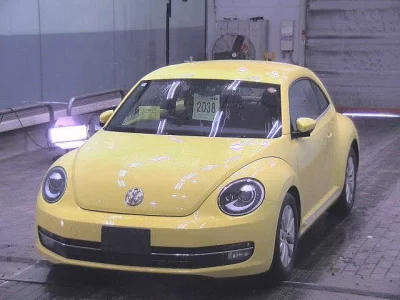 Volkswagen THE BEETLE