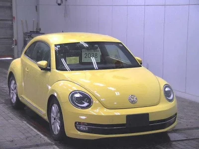 Volkswagen THE BEETLE