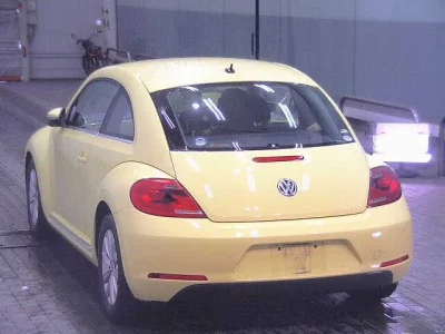 Volkswagen THE BEETLE