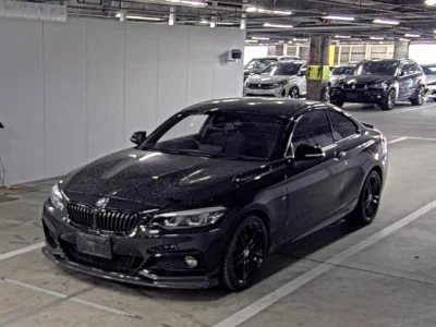 BMW 2-Series  с аукциона в Японии
