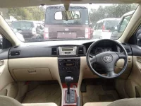 Toyota COROLLA RUNX лот № 717 оценка R  с аукциона в Японии 2