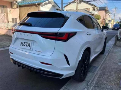 Lexus NX  с аукциона в Японии