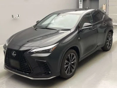 Lexus NX  с аукциона в Японии