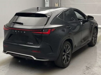 Lexus NX  с аукциона в Японии