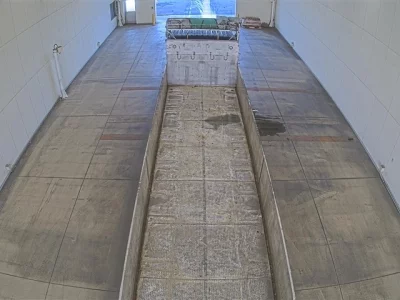 Hino PROFIA  с аукциона в Японии