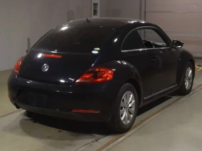 Volkswagen THE BEETLE