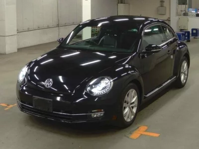 Volkswagen THE BEETLE