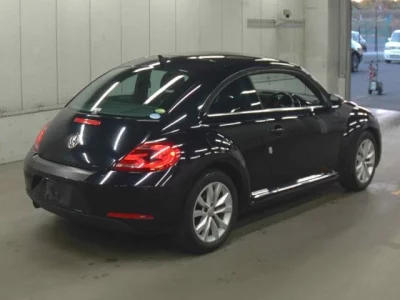 Volkswagen THE BEETLE