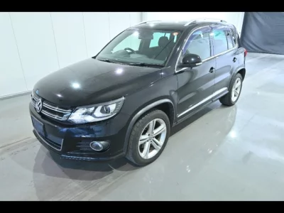 Volkswagen TIGUAN  с аукциона в Японии