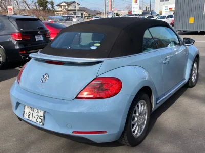Volkswagen THE BEETLE