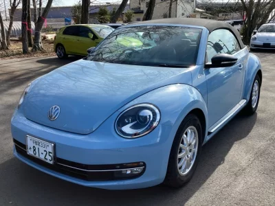 Volkswagen THE BEETLE