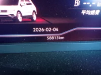 Volkswagen TIGUAN лот № 33522 оценка 4  с аукциона в Японии 10