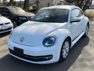 Volkswagen THE BEETLE