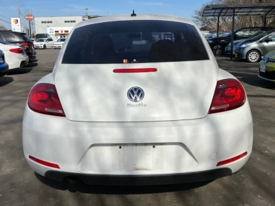Volkswagen THE BEETLE