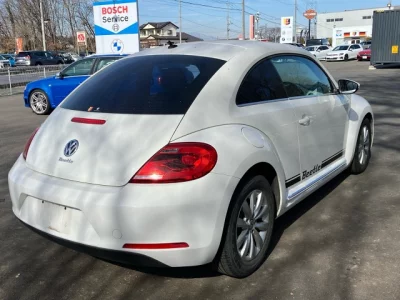 Volkswagen THE BEETLE