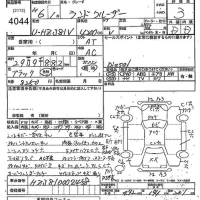 Toyota LAND CRUISER лот № 4044 оценка 3  с аукциона в Японии 10