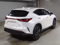 Lexus NX лот № 10009 оценка R  с аукциона в Японии 1