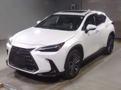 Lexus NX  с аукциона в Японии