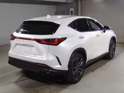 Lexus NX  с аукциона в Японии