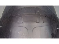 Volkswagen THE BEETLE лот № 38055 оценка 4.5  с аукциона в Японии 10