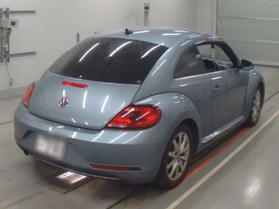 Volkswagen THE BEETLE