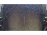 Mazda ROADSTER лот № 36012 оценка 3.5  с аукциона в Японии 10