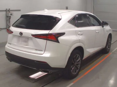 Lexus NX  с аукциона в Японии