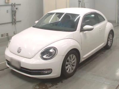 Volkswagen THE BEETLE