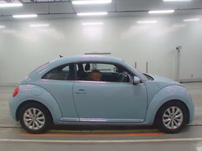 Volkswagen THE BEETLE