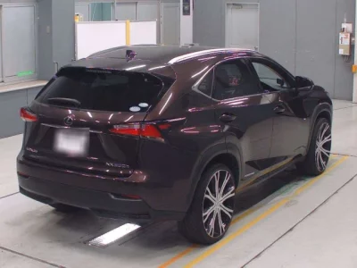 Lexus NX  с аукциона в Японии