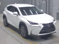 Lexus NX лот № 30302 оценка 4.5  с аукциона в Японии 4