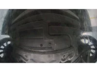 Nissan ELGRAND лот № 30335 оценка RA  с аукциона в Японии 3