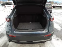 Mazda CX-30 лот № 3036 оценка 4.5  с аукциона в Японии 10