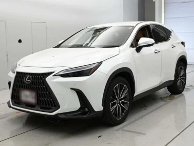 Lexus NX  с аукциона в Японии