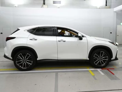 Lexus NX  с аукциона в Японии