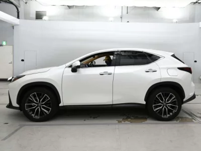Lexus NX  с аукциона в Японии
