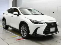 Lexus NX лот № 33026 оценка 5  с аукциона в Японии 4