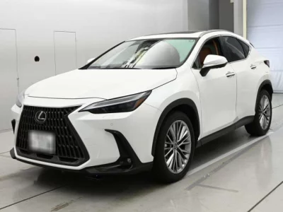 Lexus NX  с аукциона в Японии