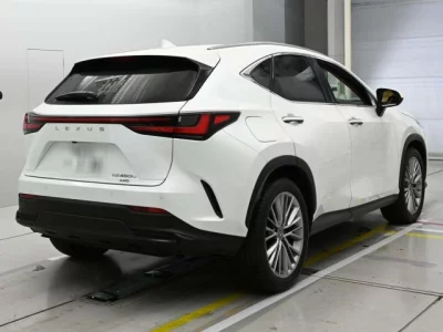 Lexus NX  с аукциона в Японии