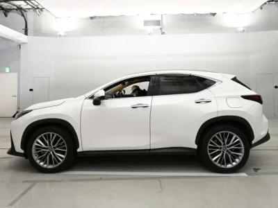 Lexus NX  с аукциона в Японии