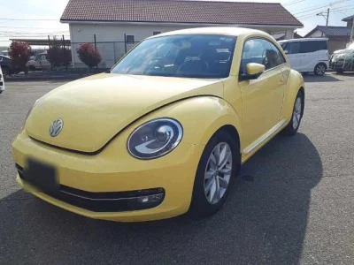 Volkswagen THE BEETLE