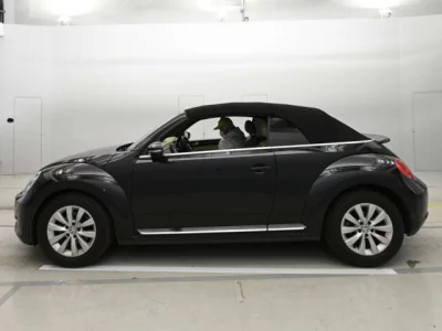 Volkswagen THE BEETLE